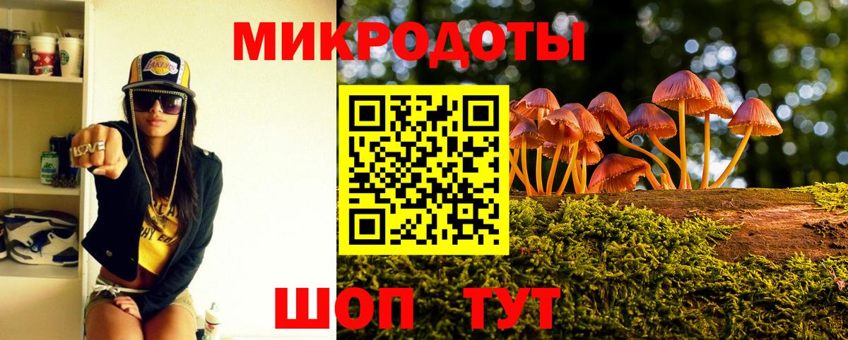 Галлюциногенные грибы мухоморы  Псилоцибиновые грибы GOLDEN TEACHER  Вичуга 