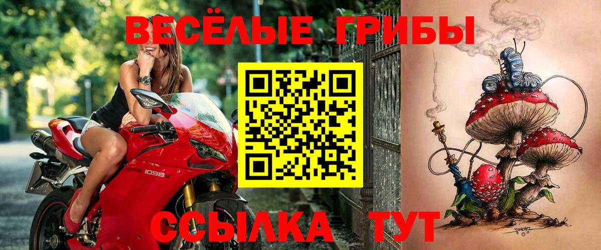 Псилоцибиновые грибы MAGIC MUSHROOMS Вичуга