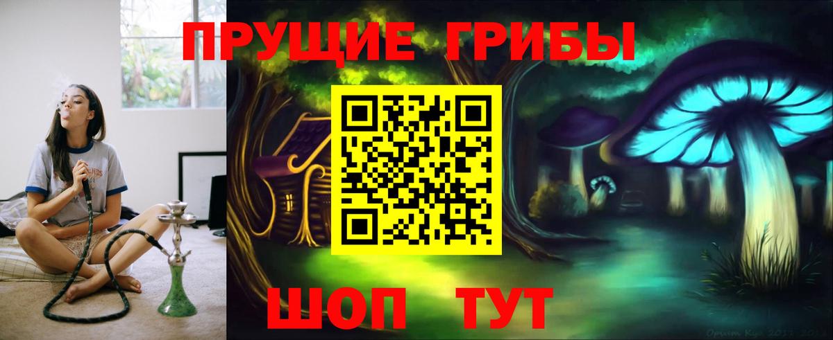 закладка  Галлюциногенные грибы GOLDEN TEACHER  Вход с VPN  Вичуга 