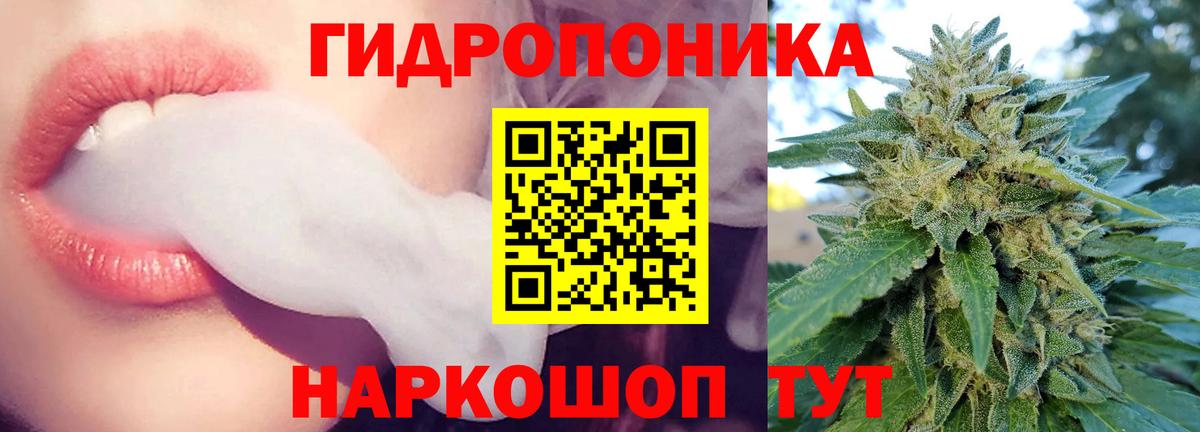 Бошки марихуана VHQ  Бошки Шишки тримм  Вичуга  Шишки марихуана OG Kush  Конопля Bruce Banner 